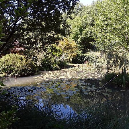 Le Chalet De La Grenouille Verte Tursac Dış mekan fotoğraf