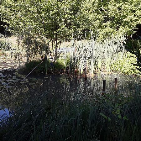 Le Chalet De La Grenouille Verte Tursac Dış mekan fotoğraf