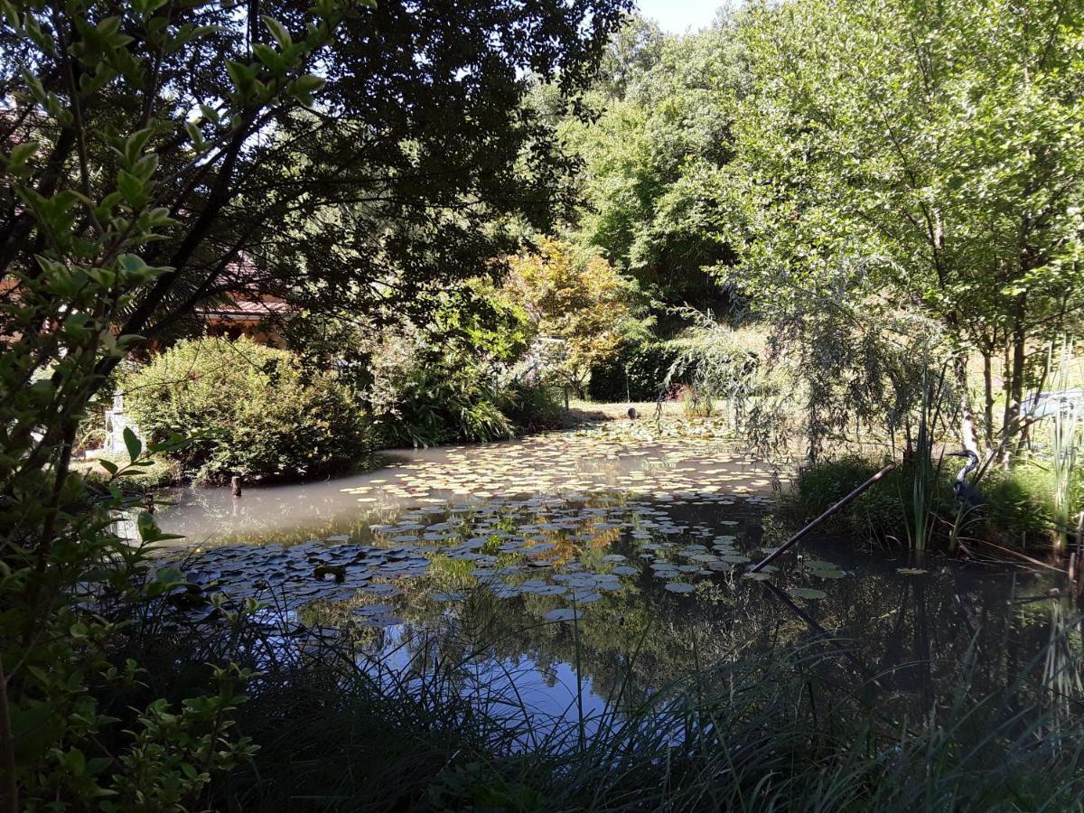 Le Chalet De La Grenouille Verte Tursac Dış mekan fotoğraf