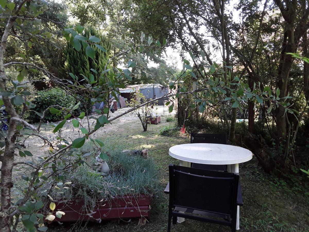 Le Chalet De La Grenouille Verte Tursac Dış mekan fotoğraf