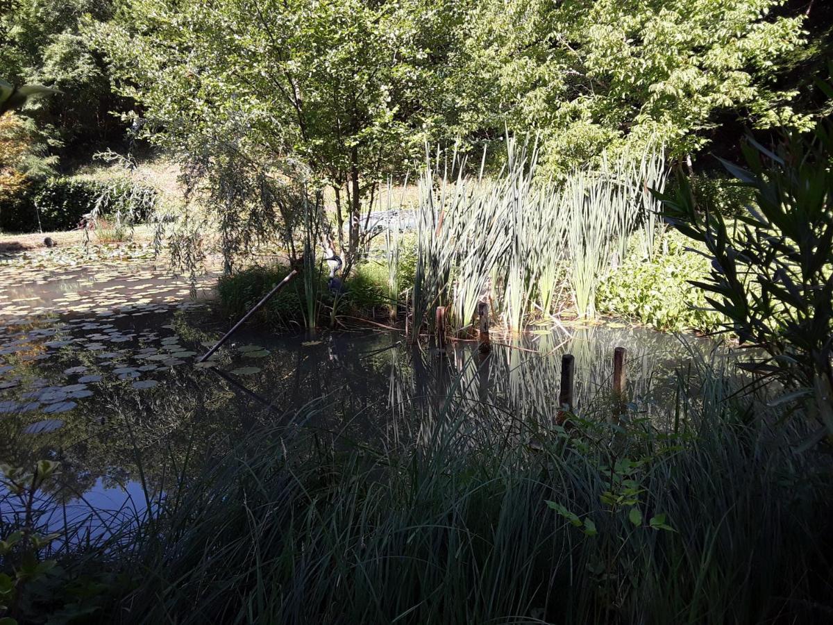 Le Chalet De La Grenouille Verte Tursac Dış mekan fotoğraf